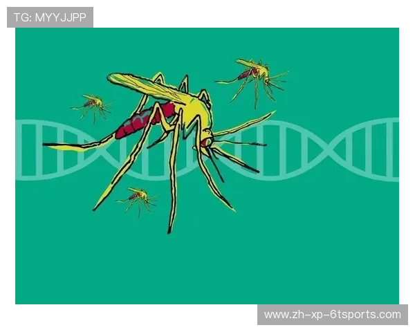 足球驱蚊液在热带比赛区域使用是否保护球员免受蚊虫叮咬影响